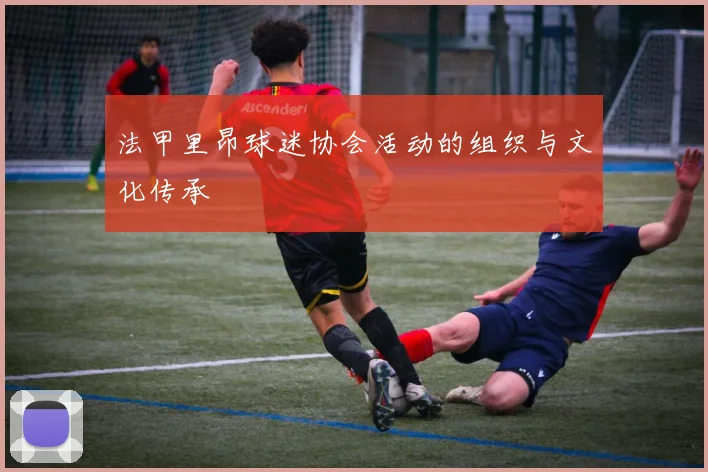 法甲里昂球迷协会活动的组织与文化传承