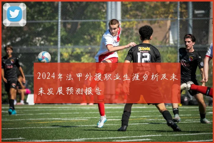 2024年法甲外援职业生涯分析及未来发展预测报告