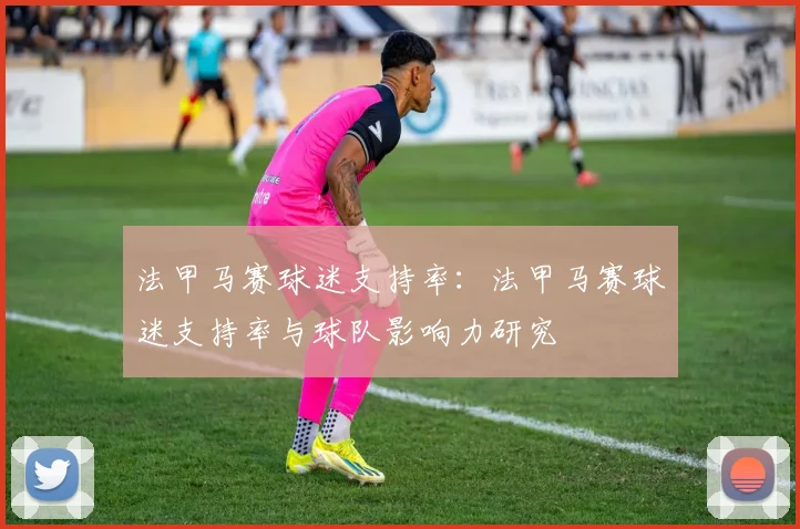 法甲马赛球迷支持率：法甲马赛球迷支持率与球队影响力研究