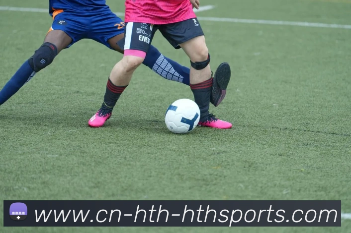 华体会hth平台生态图